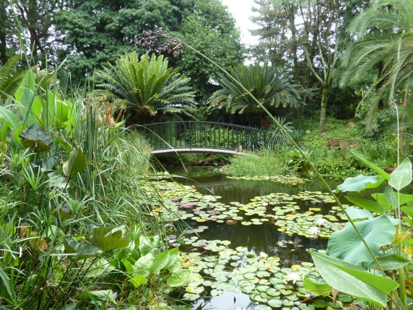 Manie Van Der Schijff Botanical Garden , , South Africa